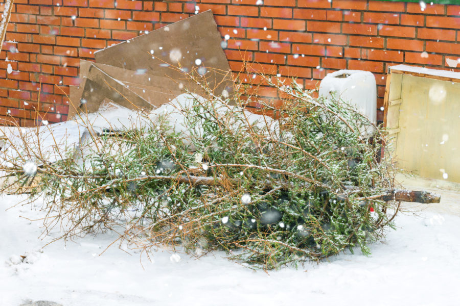 Winter Junk Removal Services