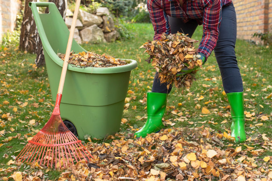 Getting Your Yard Winter Ready