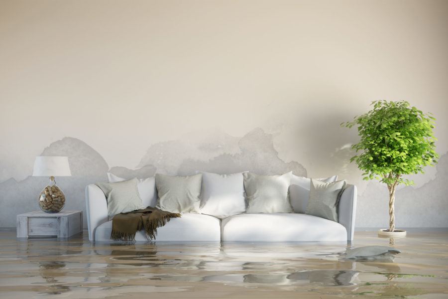 Basement Flooding? Let PWI Help with Your Clean-Up